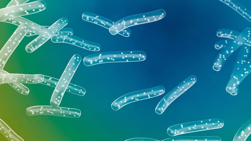 Probiotika für IBS-A