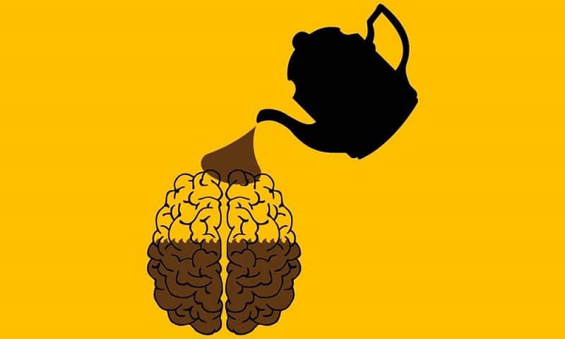 Caffeine and Brain