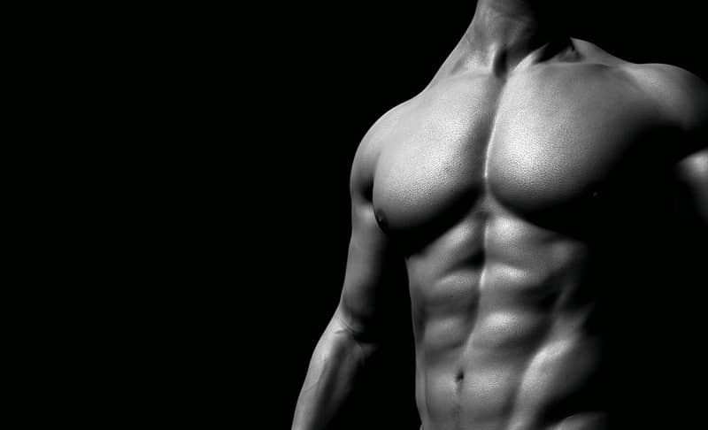 Muscle Mass And Testosterone Levels