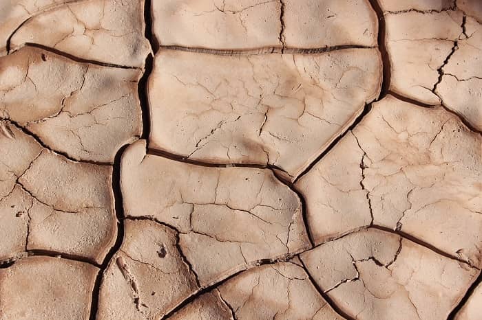 What Causes Dry Patches on Skin