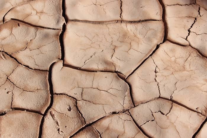 What Causes Dry Patches On Skin And How To Cure At Home 