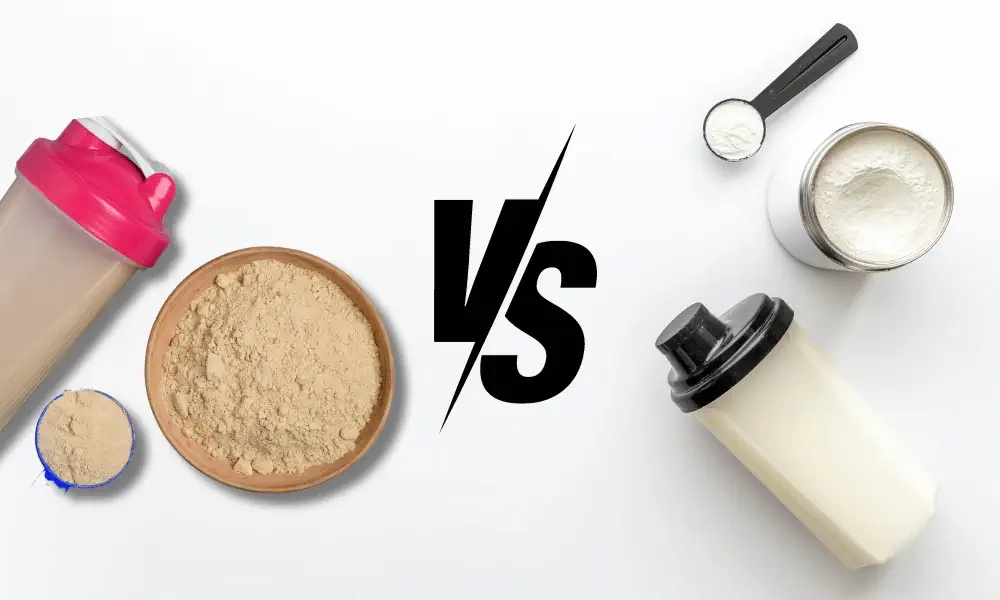 Whey Protein vs Meal Replacement