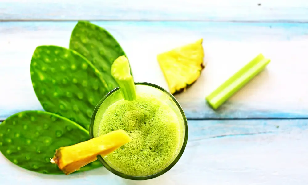 How to Use Nopal Cactus for Weight Loss? 4 Benefits 