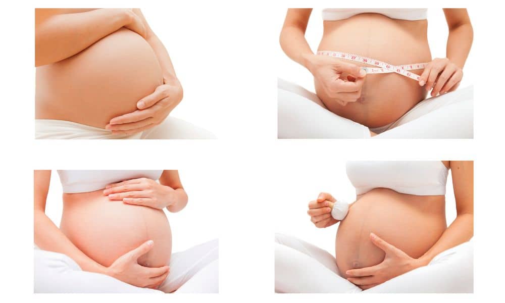 how estrogen helps in pregnancy