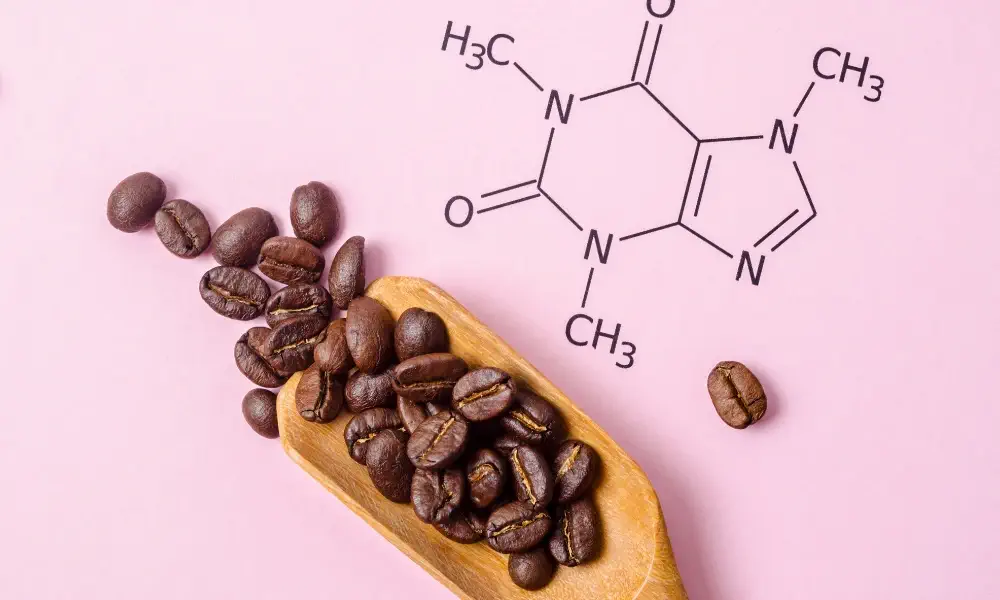l theanine and caffeine benefits